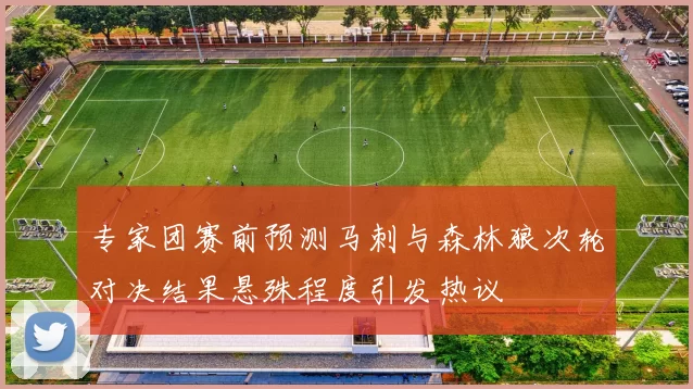 专家团赛前预测马刺与森林狼次轮对决结果悬殊程度引发热议