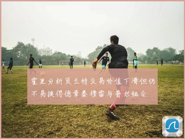 霍里分析莫兰特交易价值下滑但仍不易换得德章泰穆雷与普尔组合